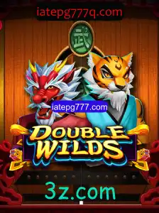 Desvendando o Universo de DoubleWilds: Tudo que Você Precisa Saber